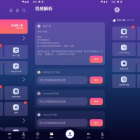 速度下载V1.2.2聚合全网短视频解析下载神器