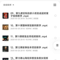 《AI视频制作实战宝典》AI与视频制作全攻略从入门到精通实战课程
