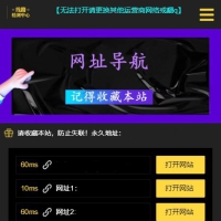 网址导航引导页面H5源码 自动检测域名延迟