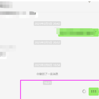 [Windows] 微信Windows版 3.9.12.41 多开&消息防撤回纯64位