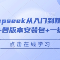 完整版Deepseek从入门到精通附最全指令汇总+各版本安装包+一键整合包【127.9G】