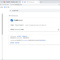 百分浏览器v5.2.1168.83便携版