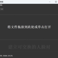 AIVideoFaceSwap视频换脸v1.2.4，国外软件，切勿非法使用