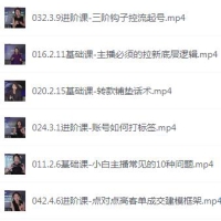直播电商流量运营：账号打造与带货技巧提升