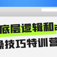 直播底层逻辑和ai实操技巧特训营