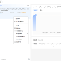 迅雷11 v12.1.7.2822 SVIP绿色版