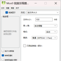 快捷视频压缩工具 VideoMinimizer_1.283
