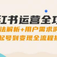 小红书运营全攻略：算法解析+用户需求洞察，从起号到变现全流程拆解