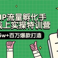 自然 IP 流量孵化手 · 14 天线上实操特训营【第9期】：月入 5w+ 百万爆款打造 (74节)