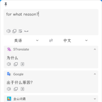 STranslate 翻译、OCR工具 v1.3.1.120 绿色版