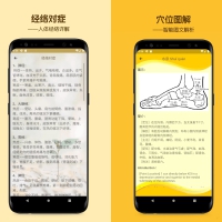 人体穴位图解v3.1.70人体经络去广告版