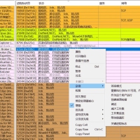 TaskExplorer_v1.6.6强大任务管理器增强工具