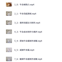 原味牛杂摆摊开店攻略全套课