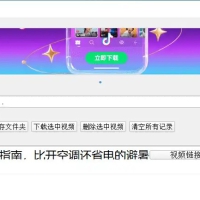 Windows 抖音解析工具 自用版