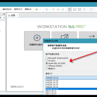 VMware虚拟机v17.6.3精简版