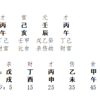 [断卦预测-实例分析]八字分析丨父母兄弟姐妹也多是多情种