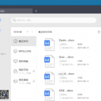 专业增强版办公软件 WPS Office 2019 免激活带VBA