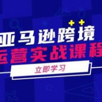 亚马逊跨境运营实战课程：涵盖亚马逊运营、申诉、选品等多个方面