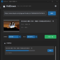 VidDown视频下载器v1.0无水印下载B站/钭音/油管等