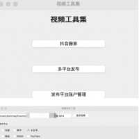 一键搬运支持多平台同步发布（TikTok、抖音、快手、油管、小红书、B站等