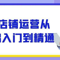 TK店铺运营从基础入门到精通