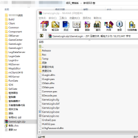 翎风_懒猫版 新翎风引擎源码（delphi源码）