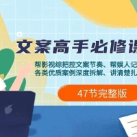 影视综纪 · 文案高手必修课 2.0 ：文案课/案例课/认知课/题材课/变现课/加餐课