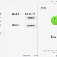微信Windows版 3.9.12.9 多开&消息防撤回测试版绿色版纯64位（8.30更新）