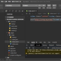 最新网址直接打包装封成微信小程序源码