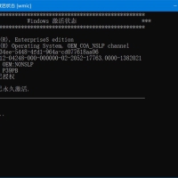 KMS_VL_ALL_AIO中文版(KMS激活工具)V54