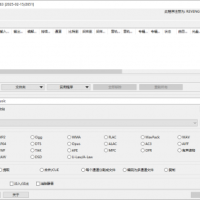 Xrecode3(多功能音频转换工具) v1.166 / 1.167b 多语便携版