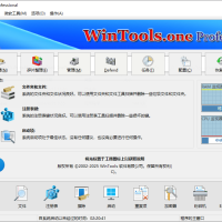 WinTools.one Pro 系统优化工具 v25.3.1 便携版