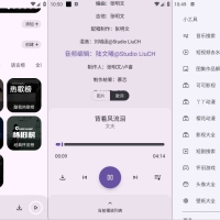 安卓只音v2.3.0全网各大平台的音乐资源播放