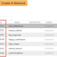 便携虚拟局域网远程桌面（易语言程序+ZeroTier+TightVNC）