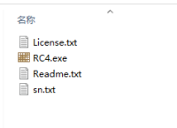 Raize.v4.3下载