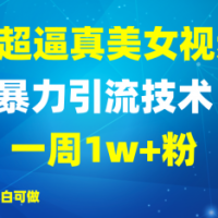 2025AI超真实美女丝袜暴力行为引流方法，一周1w 粉，使用方便小白可做，躺着赚钱视频收益