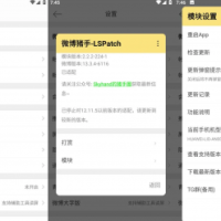 微博 v15.6.4内置微博猪手2.5.1-334模块
