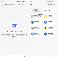 Android 问小白 v3.4.6 内置DeepSeek满血