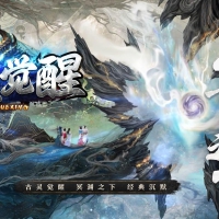 古灵觉醒沉默专属神器攻速单职业版[新GOM引擎]