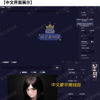 NovelAi正版免费版送豪华离线版安装软件Ai绘画教程二次元画画tag
