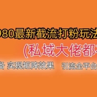 价值 3980 最新截流打粉玩法，私域大佬都在用