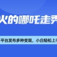 利用deepseek制作谁发谁火的哪吒2人物走秀视频，多平台发布多种变现