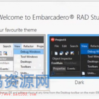 RAD Studio 12 IDE 界面主题设置