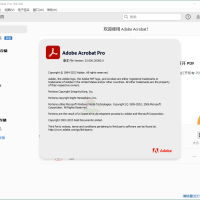Acrobat Pro DC 2025.001.20521绿色版