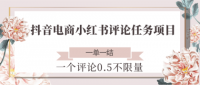 抖音电商小红书评论任务项目，一个评论0.5，一单一结 不限量