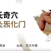 灵兰 左常波从董氏奇穴到针灸炁化门教程