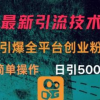 全新推广方法，点爆全网平台的一个自主创业粉，易操作日引300
