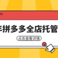 25年拼多多全店托管玩法，矩阵动销裂变玩法如何低风险盈利 新手运营秘籍