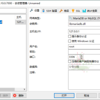 HeidiSql数据库可视化v12.11便携版