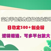 交友网站暴力行为截留自主创业粉游戏玩法，日平稳300 精确自主创业粉，逻辑性互通，可全平台变大